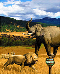 نمايی تخيلی از حيات وحش مورد نظر دانشمندان آمريکا - عکس از مجله نيچر/کورنل