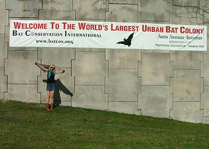 Searching for the New Music