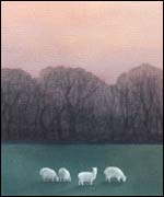 Cawston Woods by Ann Brain 