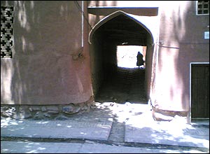 عکس از محمد حاجی عليزاده