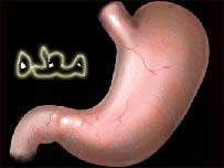 د انسان معده