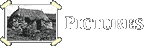 pictures
