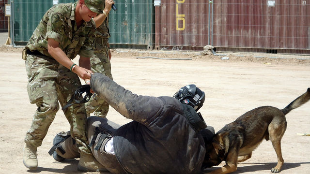 Westwood vs Camp Bastion's Patrol Dogs