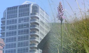 Montage of urban and rural Wiltshire