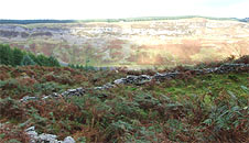 A clearing with rocks and boundary walls