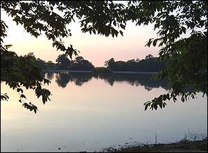 عکس از مرجان