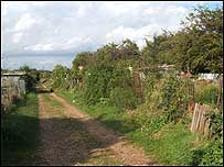 Allotment