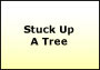 Stuck Up A Tree