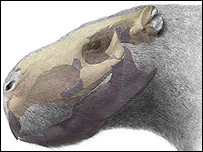 Roedor (ilustração)