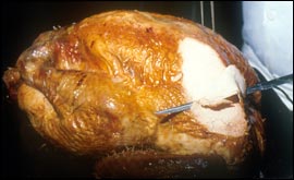 roasted turkey