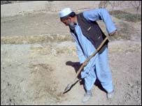 يو تن بزګر په پټي کې