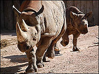 Sita and Zuri enjoying the September sun