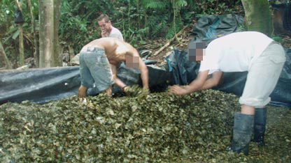 Bruce looks on as the workers toil