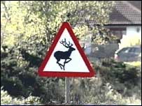 Deer crossing sign