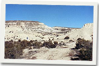 Bryn Gwyn, Patagonia