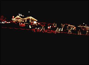 عکس از رضا آوازپور