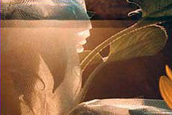 Image: Glassworks by Faye Godwin