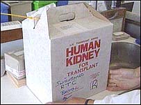 Rim é um dos órgãos mais requisitados