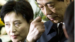 Vợ chồng Bạc Hy Lai