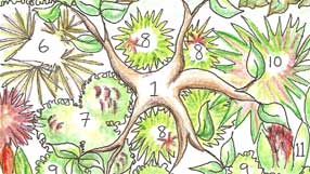 Takeaway design idea from The Yoga Garden