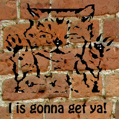 Graffiti cat