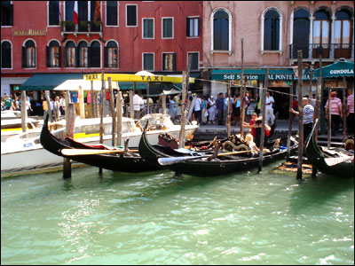 عکس از پریسا عرفانی 