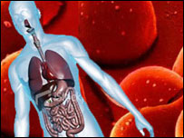 دوران خون در بدن انسانها