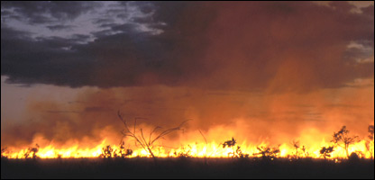 Queimadas na floresta amazônica (foto: Haroldo Castro)