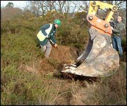 The ants return home to Bovey Heath