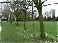 Crossley Park