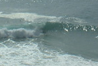 Beliche barrels