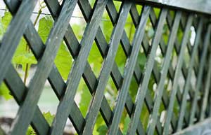 Sourcing ethical wood (Image: wooden fence panel)