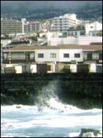 Puerto De La Cruz, Tenerife