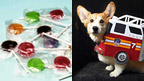 Lollipops and a corgi dog