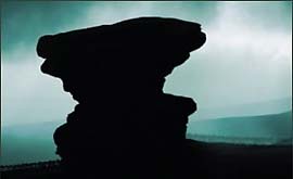 Dancing With The Virgins cover