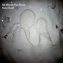 Review of 50 Words for Snow