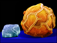 عکس دانه نمک و فلفل