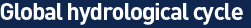 Global Hydrological Cycle