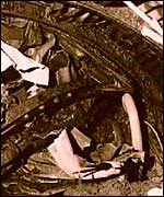 Aftermath of disaster