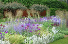  Your opinions (image: Daily Telegraph garden)