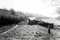 Green Lane, Farnley.