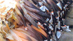 Goose barnacles by aligail1 on Flickr