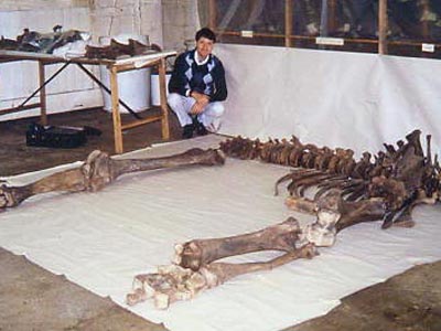 Adrian Lister with mammoth skeleton