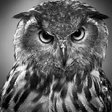 Review of Beyond The Wizard's Sleeve Reanimations Vol.1 Review of Beyond The Wizard's Sleeve Reanimations Vol.1