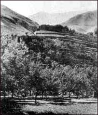 د هريرود پارک