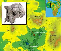 A new genus of hominid found in northern Chad