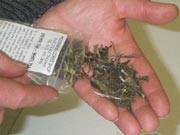 a small package of white tea