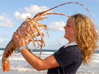 Rachel Rigby from Blue Reef holds the lobster