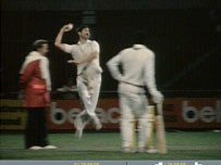 Cricket under floodlighting