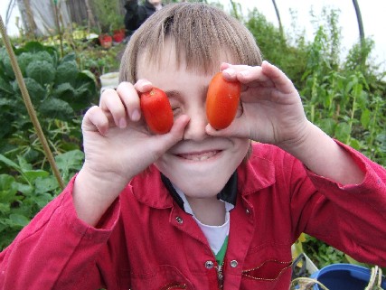 Tomatos are all we can see.